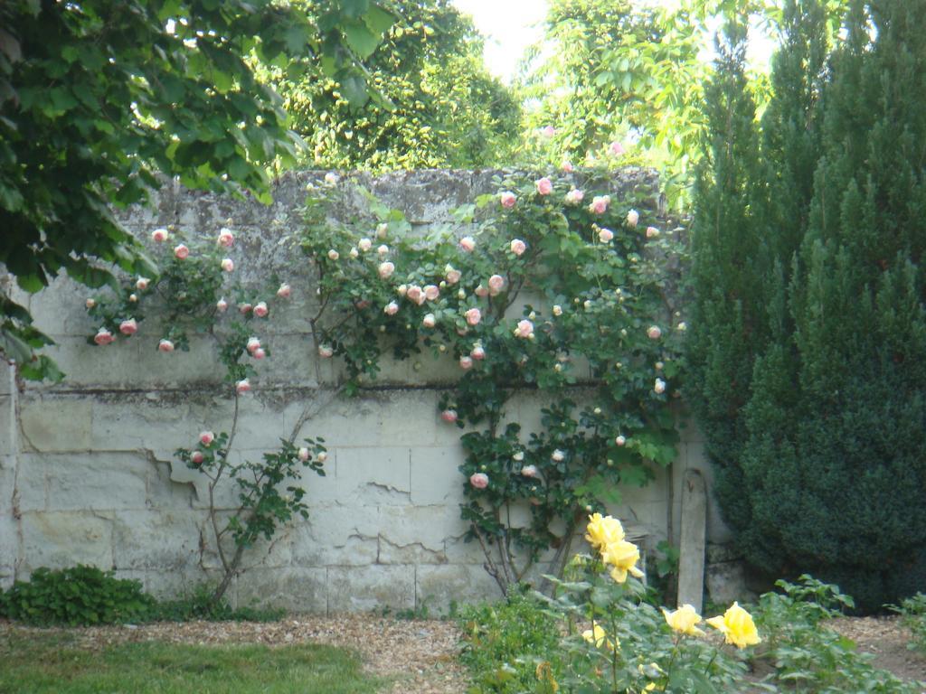 Villa Chanelle Les Rosiers-sur-Loire Ngoại thất bức ảnh